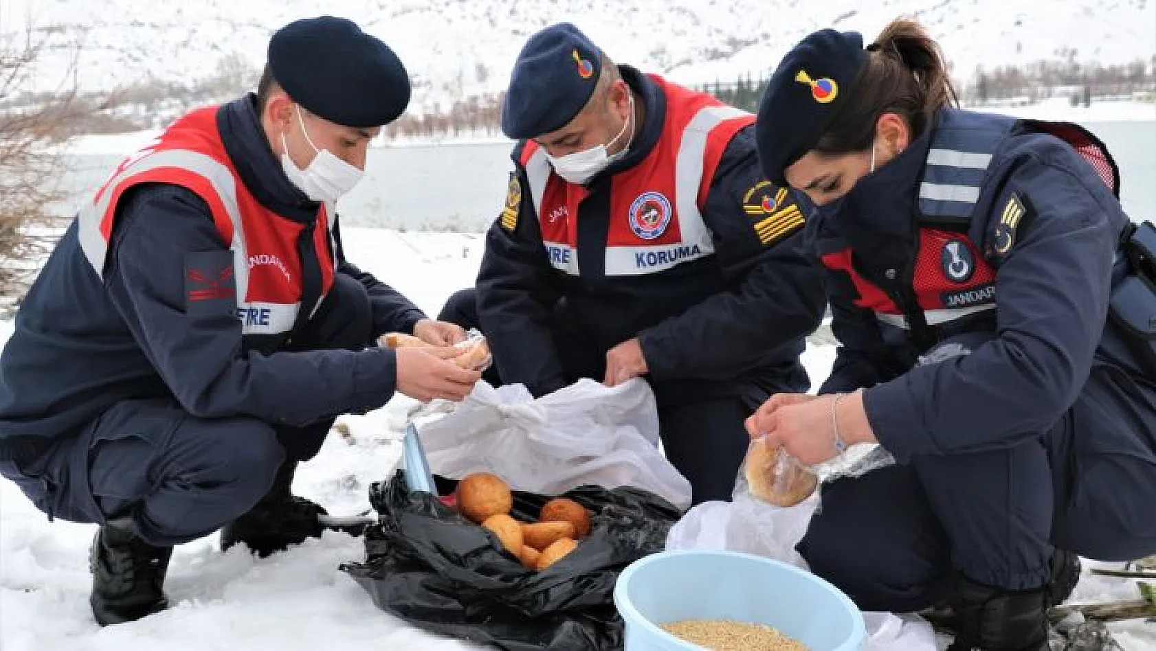 Jandarma, Tavşan Adası'nın uzun kulaklı sakinlerini unutmadı