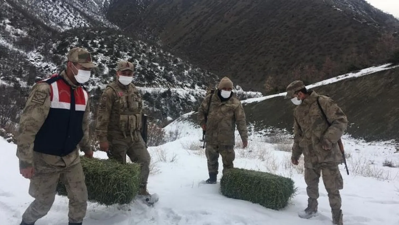 Jandarma yaban hayvanlarını unutmadı