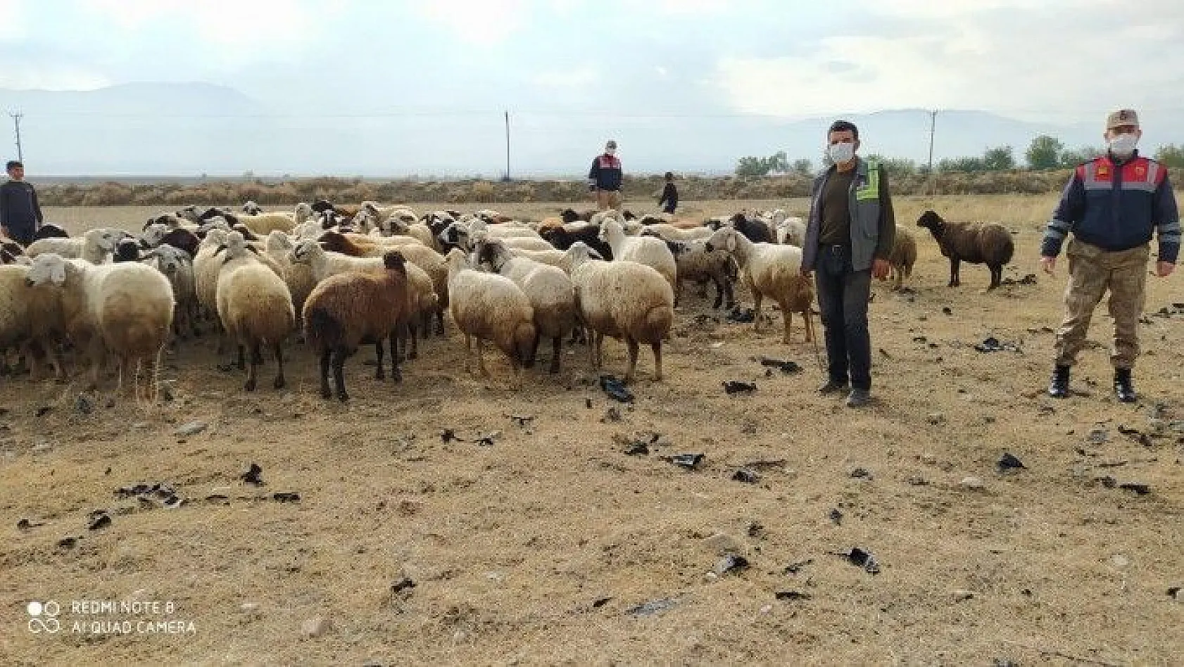 Kayıp koyun sürüsü drone ile bulundu