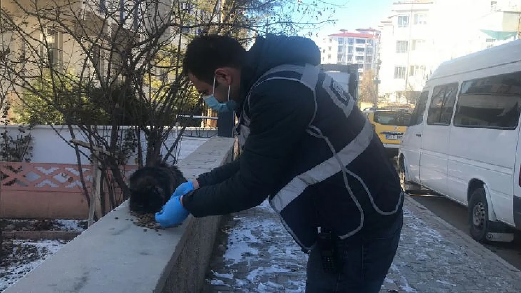 Kedi için seferber olundu