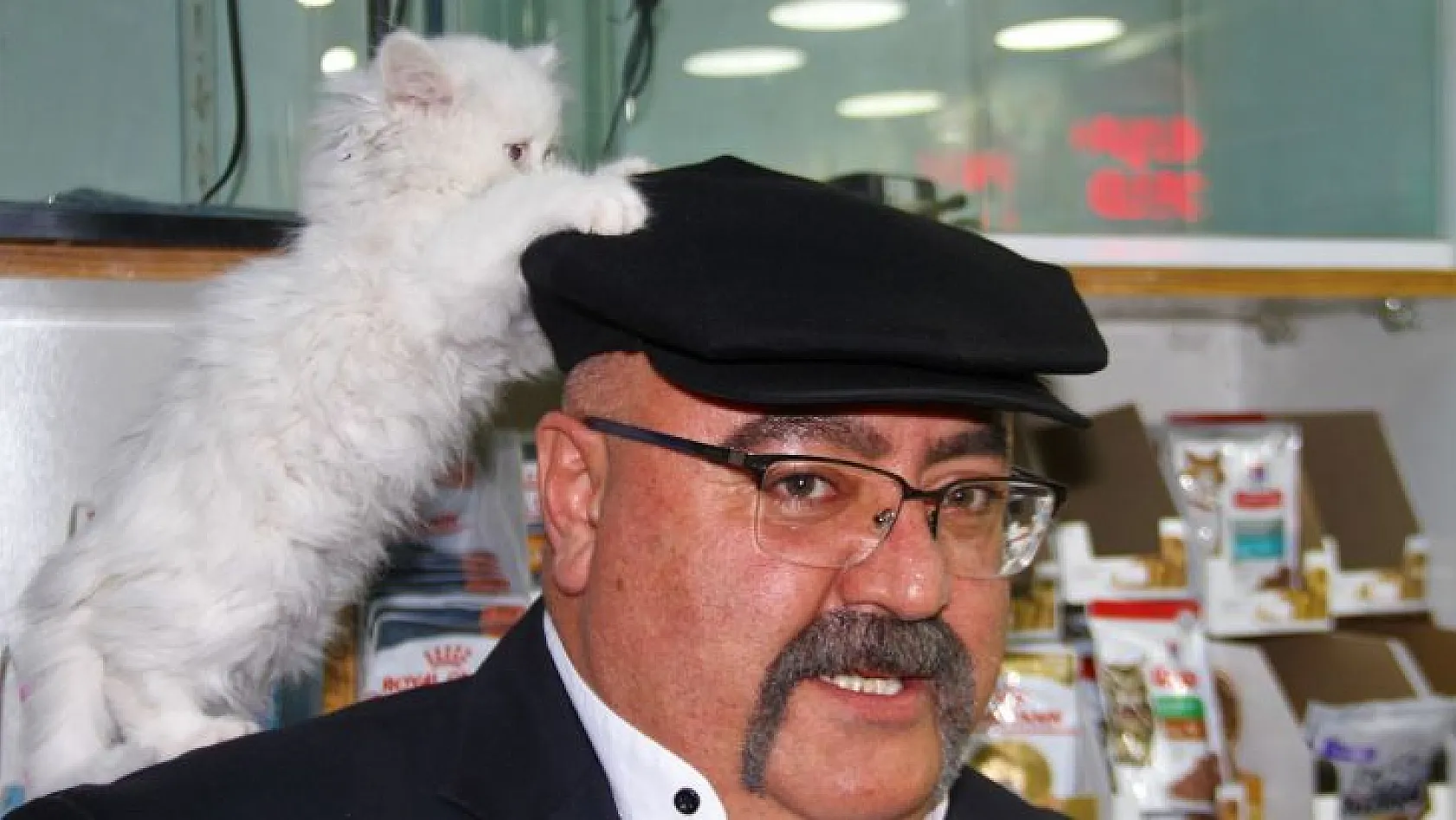 Kediyi görmek için her gün pet shop'a gidiyor