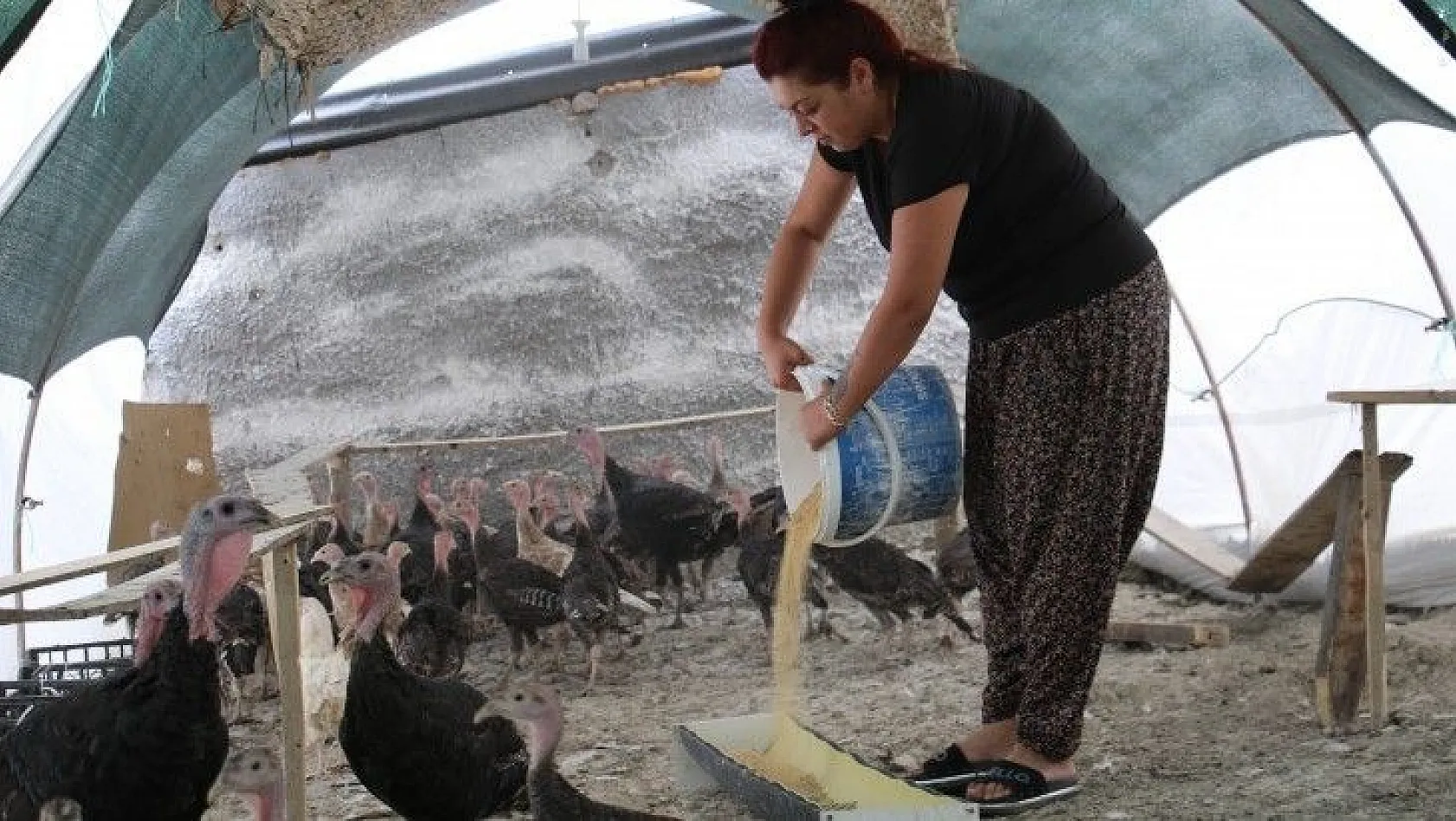 Kendi çiftliğini kurdu çevresine örnek oldu