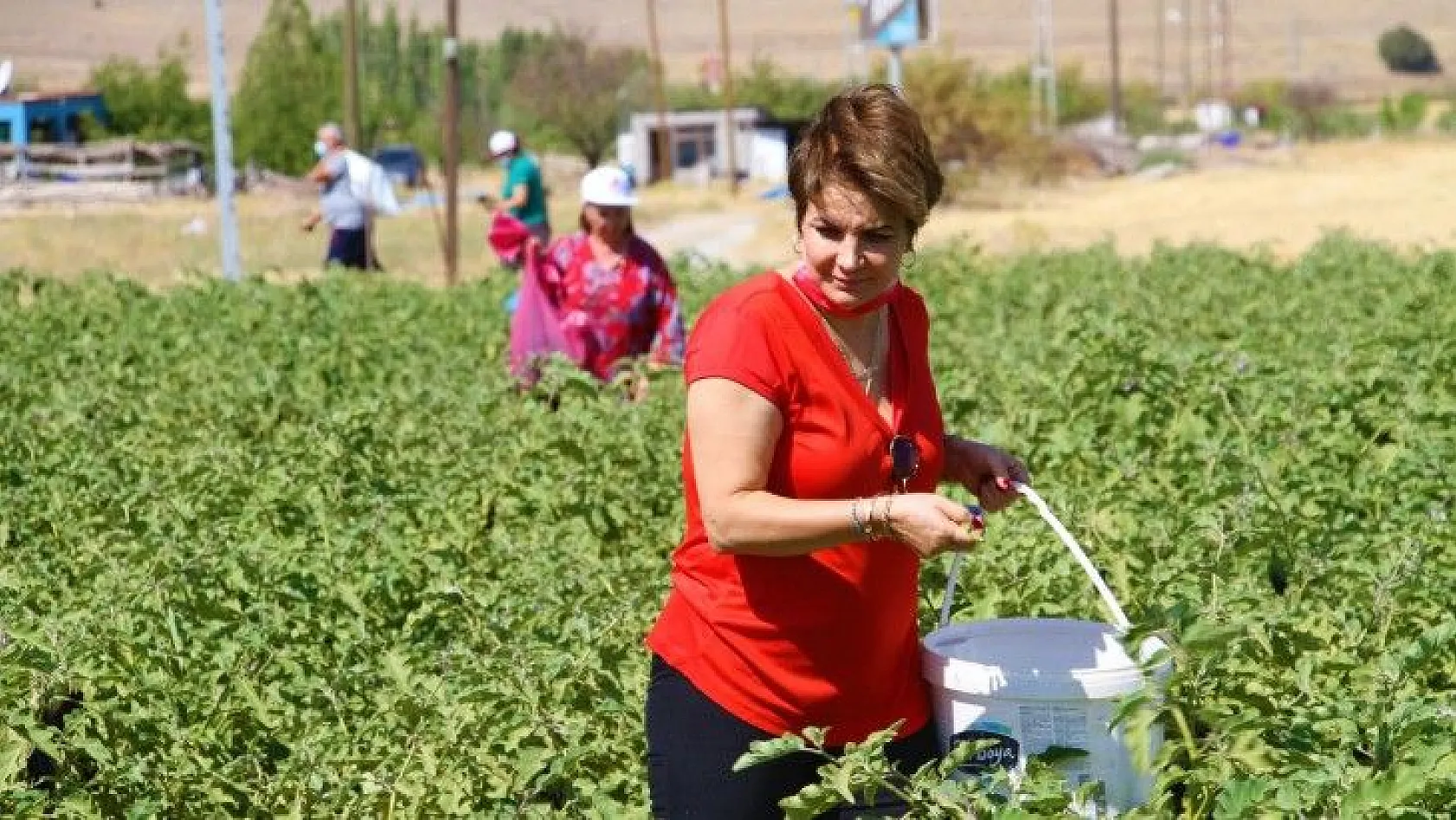 'Kendi Sebzeni Kendin Topla' ne alırsan 3 TL