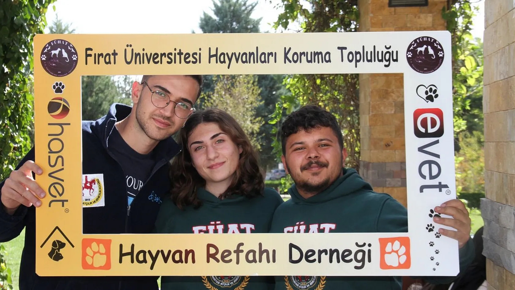 Sokak hayvanları için ev yapıldı