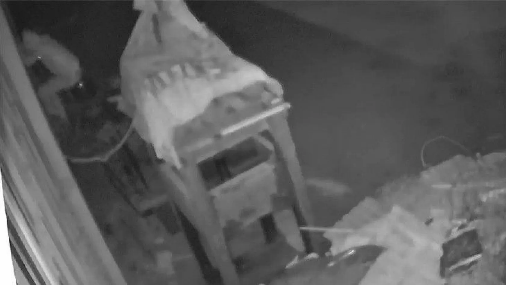 Örümcek adam gibi hırsız