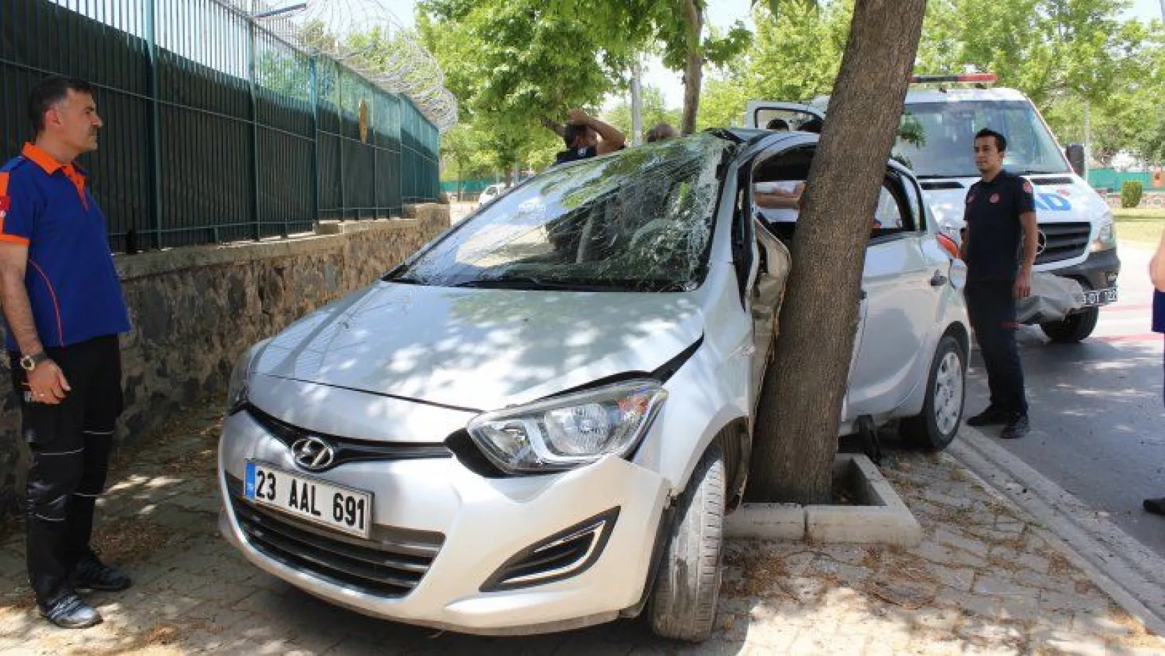 Otomobil ağaca çarptı: 2 yaralı