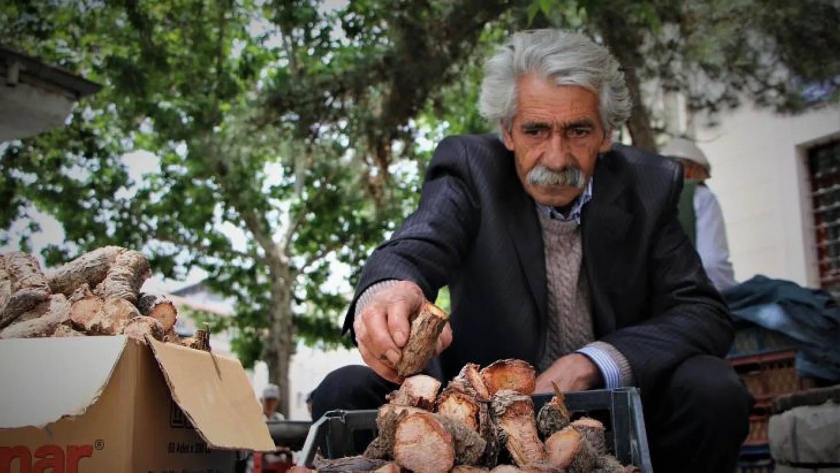 Şeker ve böbrek hastalığına iyi geliyor