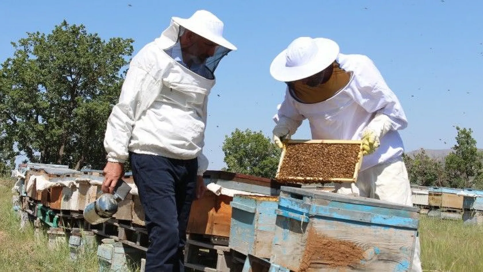 Son 10 yılın en kötü arı sezonu