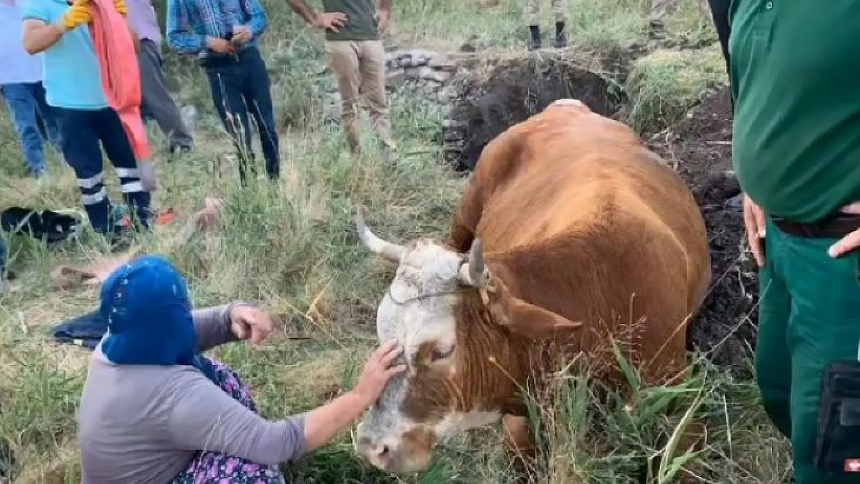 Su kuyusuna düşen inek kurtarıldı