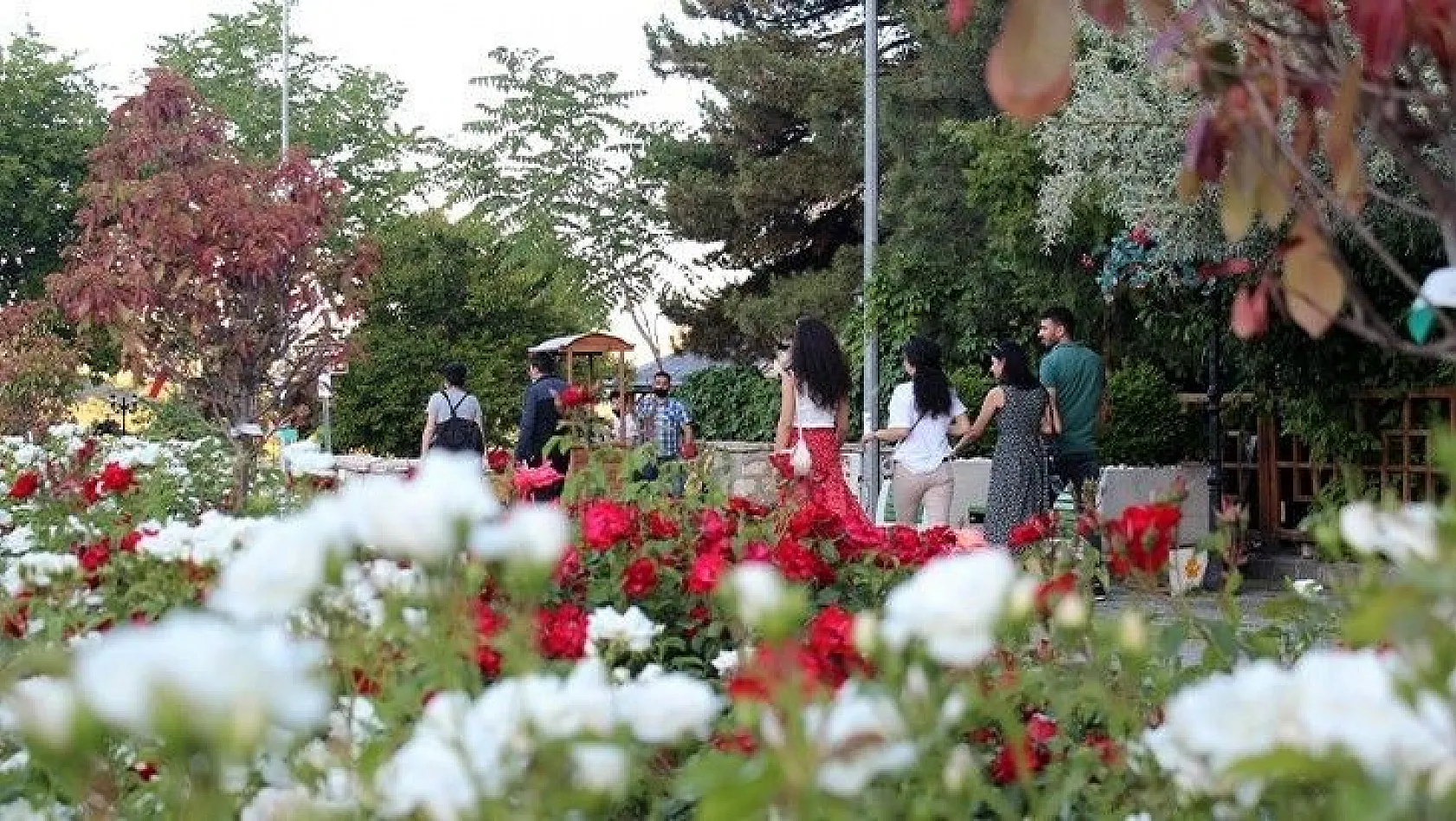 Tarihi Harput'ta normalleşme süreci yoğunluğu