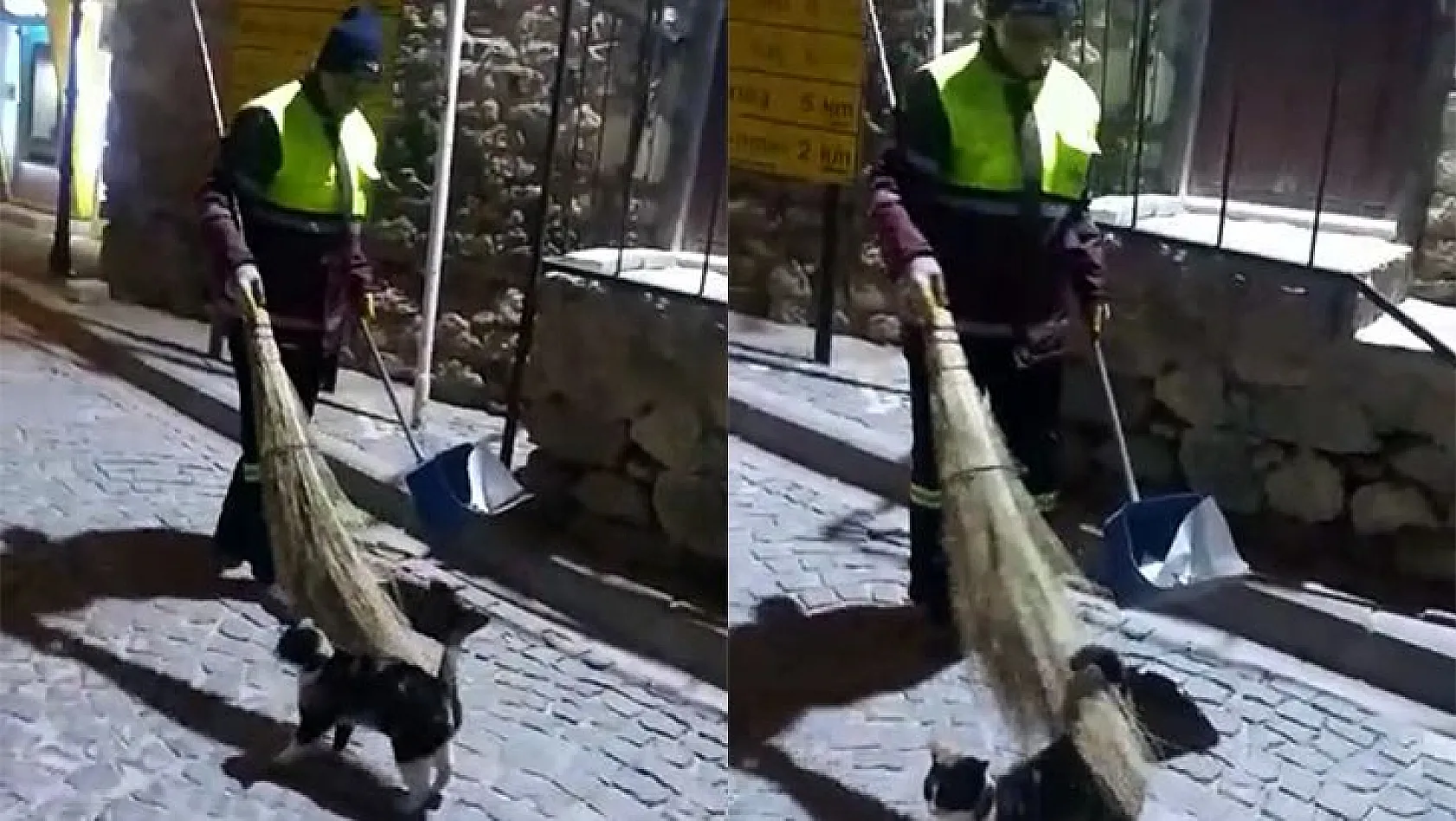Temizlik görevlisi ile kedi arasındaki dostluk