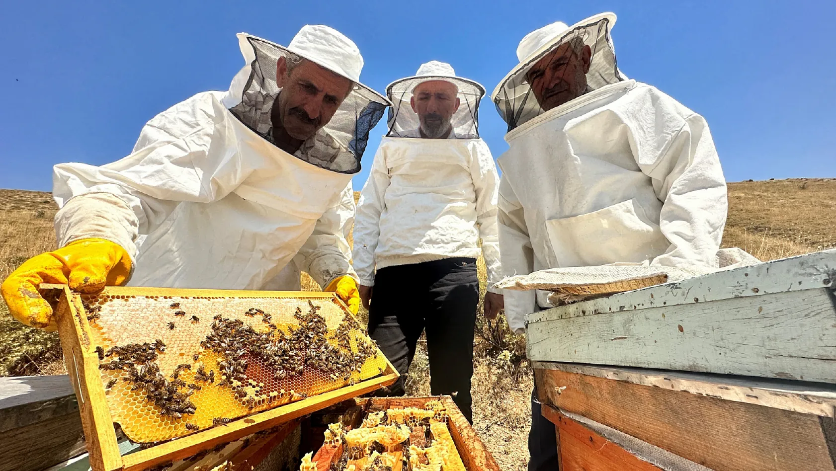 Tescilli 'geven' balının hasadı başladı