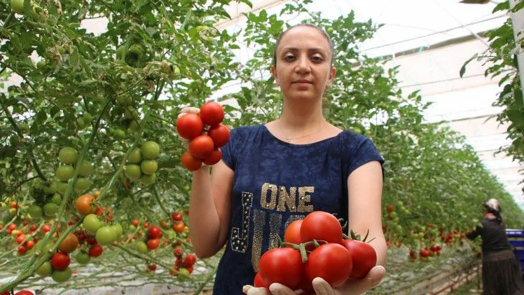 Topraksız tarım hem kadınlara iş kapısı oldu