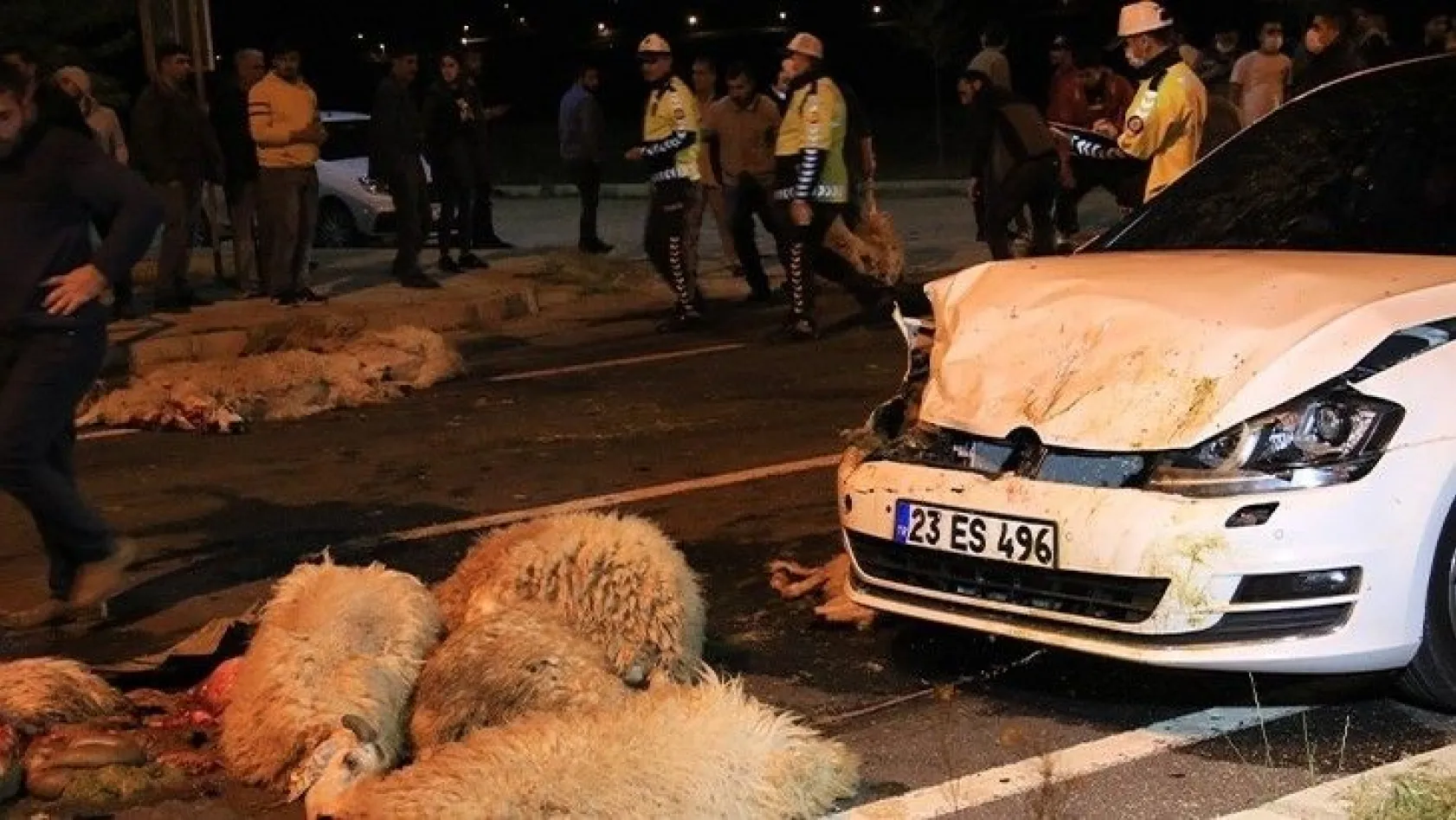 Yarış yapan otomobiller koyun sürüsüne daldı