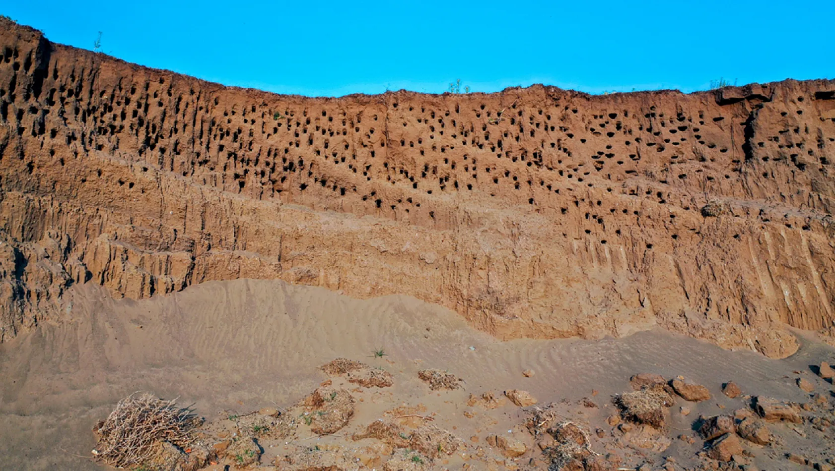 Fotoğraf tutkunlarının mekanı: Kırlangıç yuvaları
