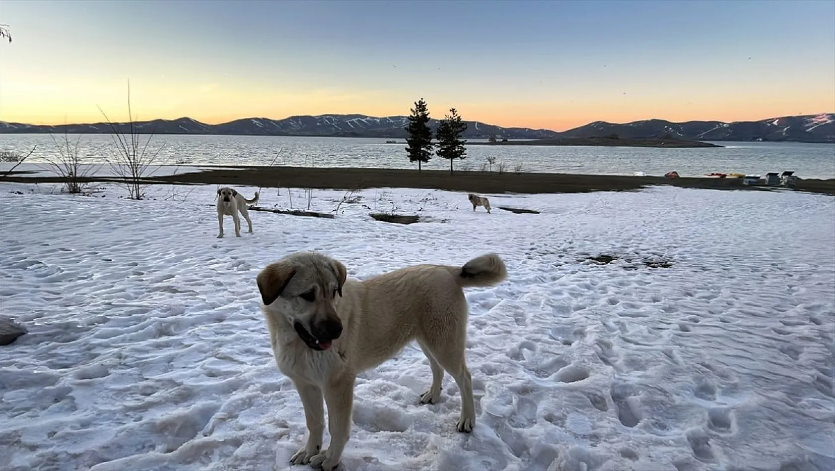 Doğal güzelliğiyle Elazığ Hazar Gölü