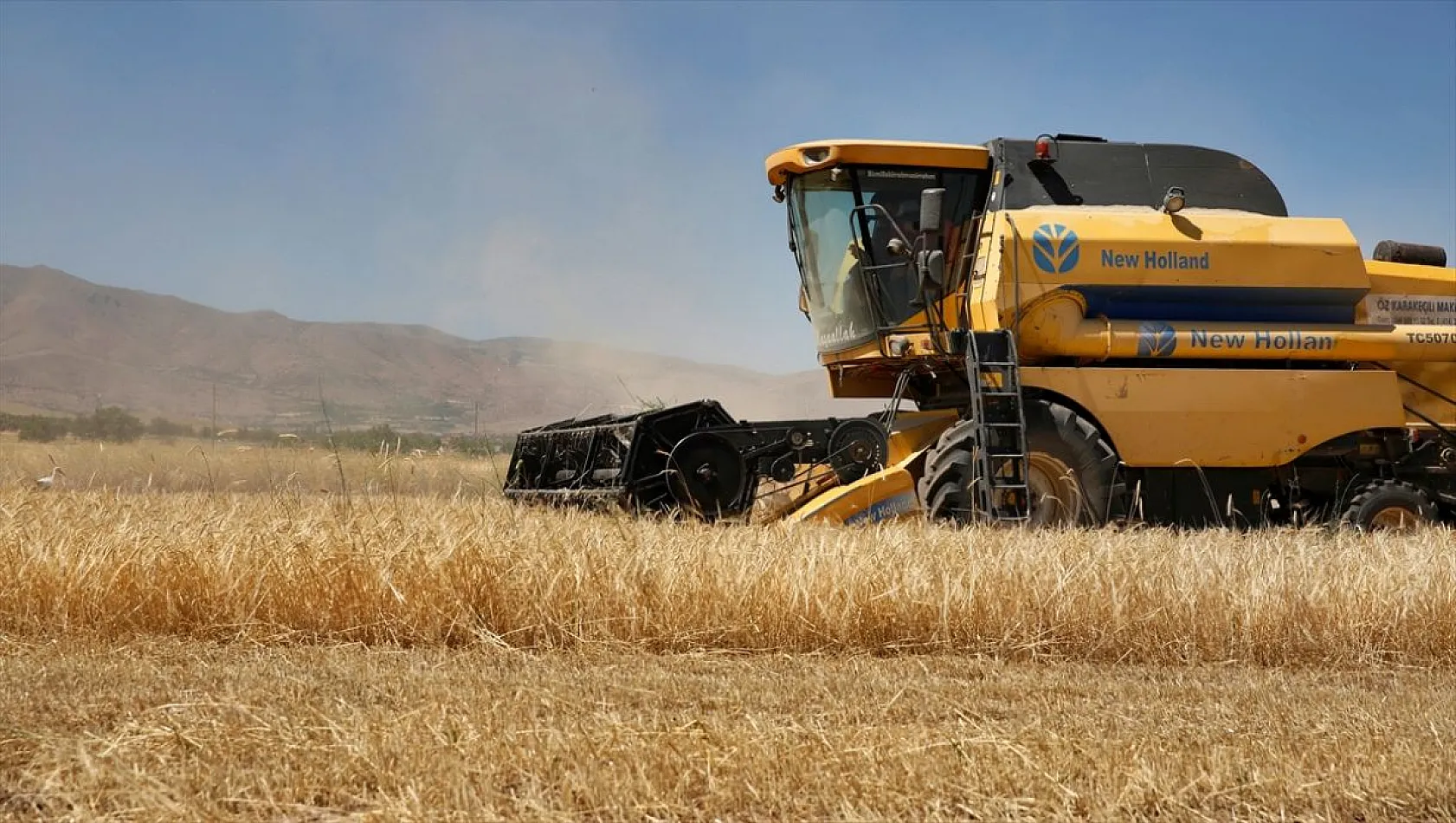 Yağışlar arpa ve buğdayda üretimi artırdı