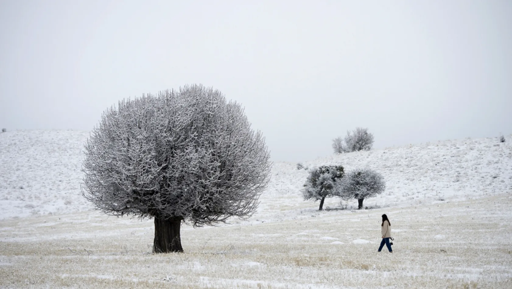 Tunceli'de kar yağışı ve sisli hava