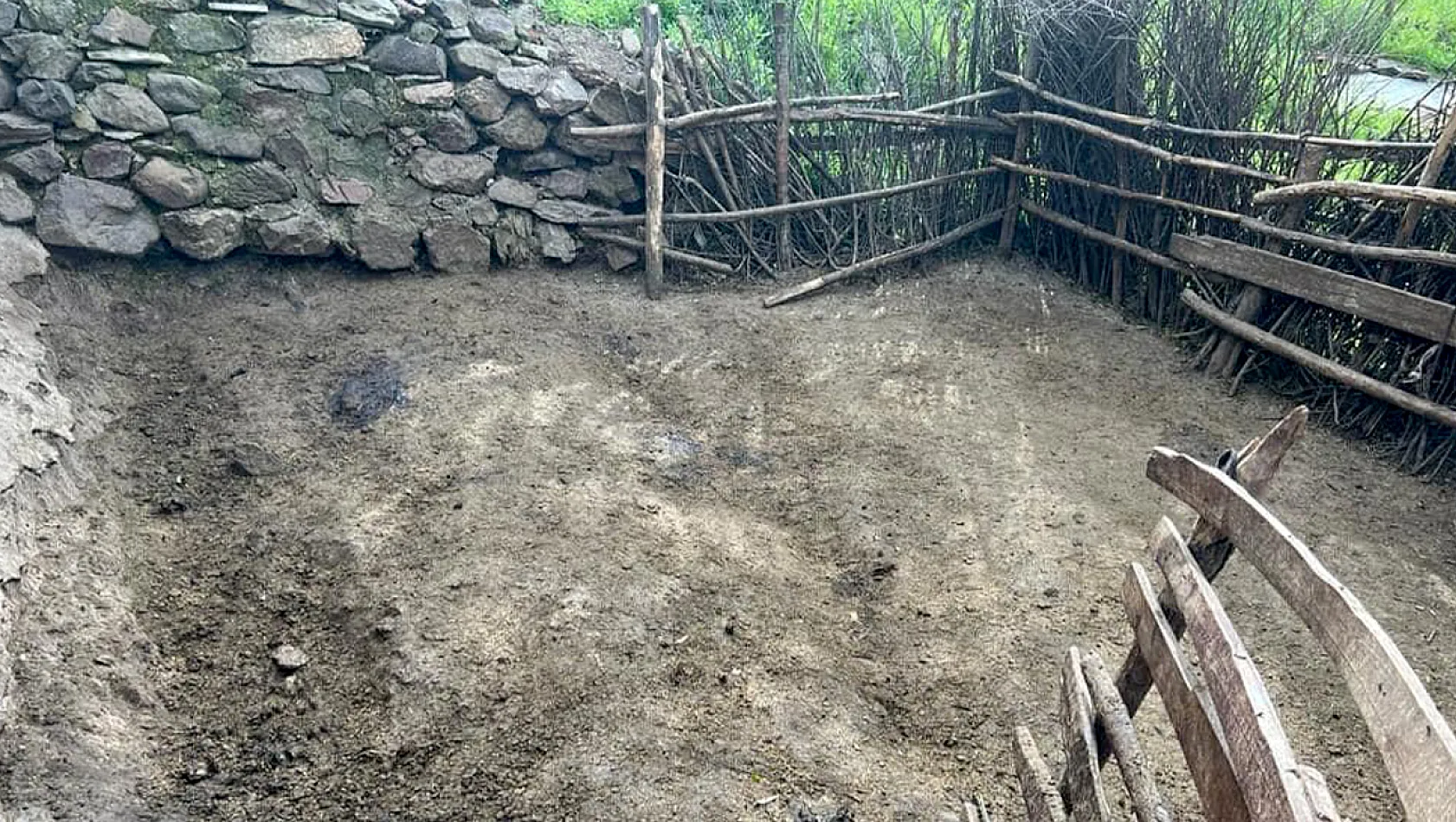 Ağıla giren kurt sürüsü, koyunları telef etti