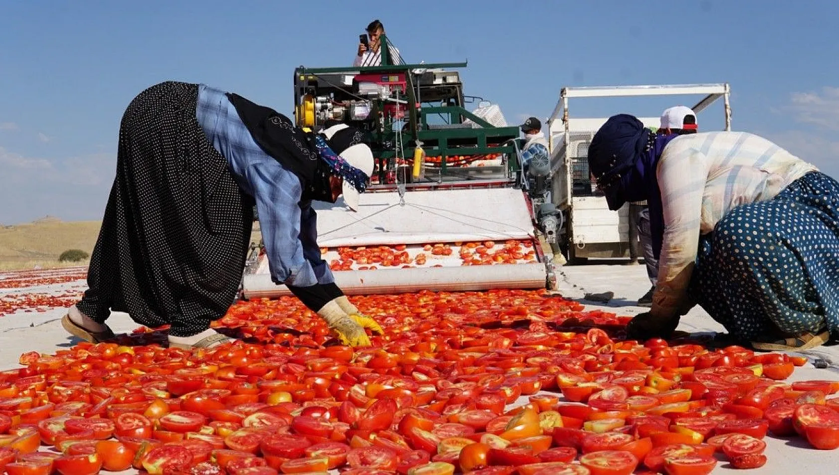 Mevsimlik işçiler kurutmalık domateslerden Türkiye haritası yaptı
