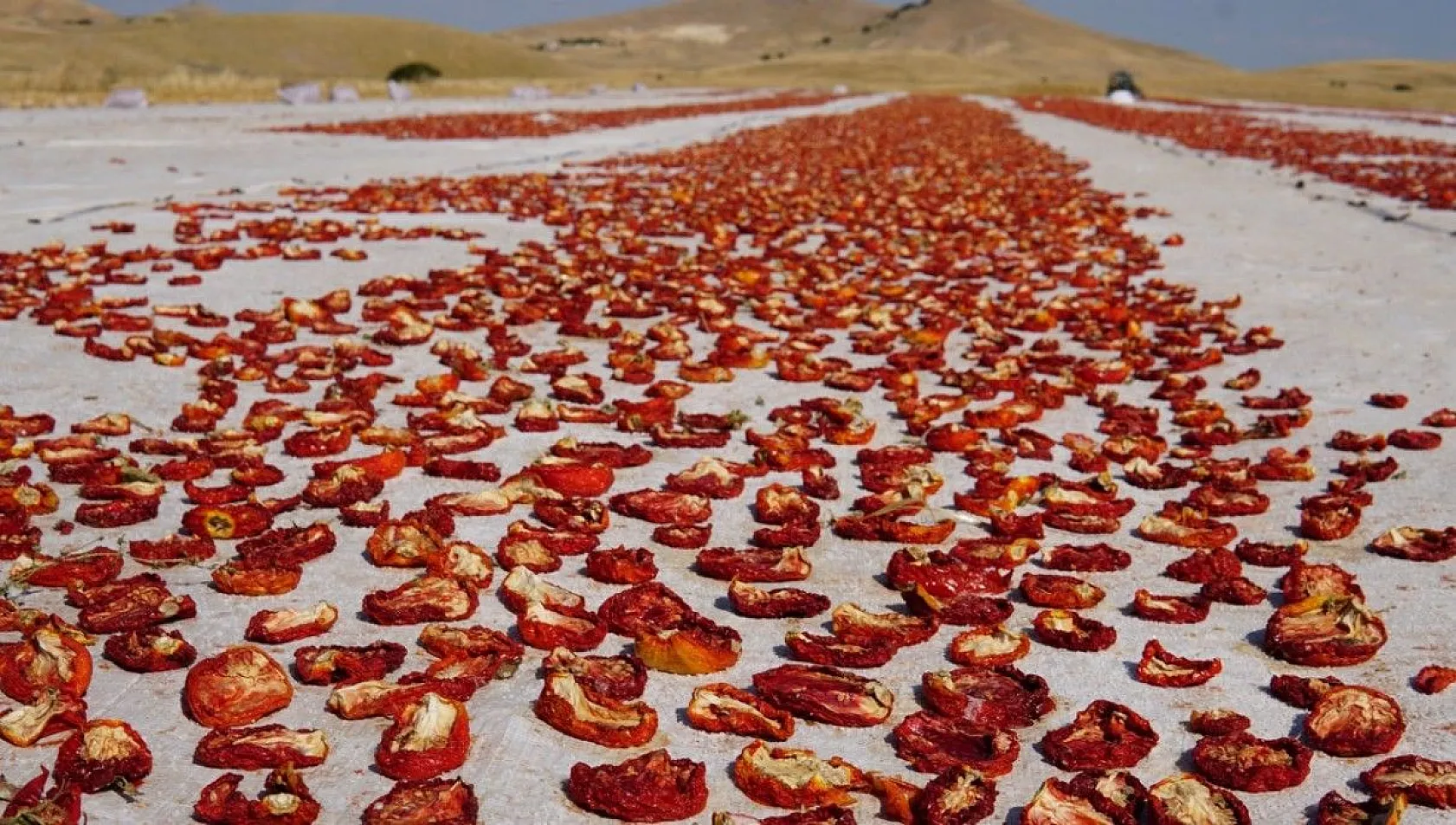 Mevsimlik işçiler kurutmalık domateslerden Türkiye haritası yaptı