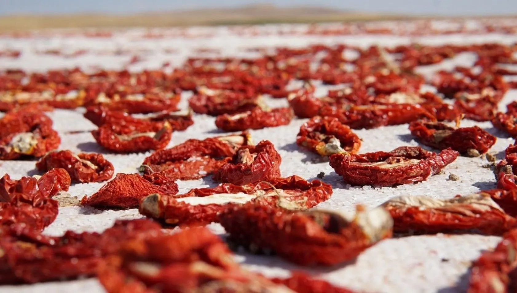 Mevsimlik işçiler kurutmalık domateslerden Türkiye haritası yaptı