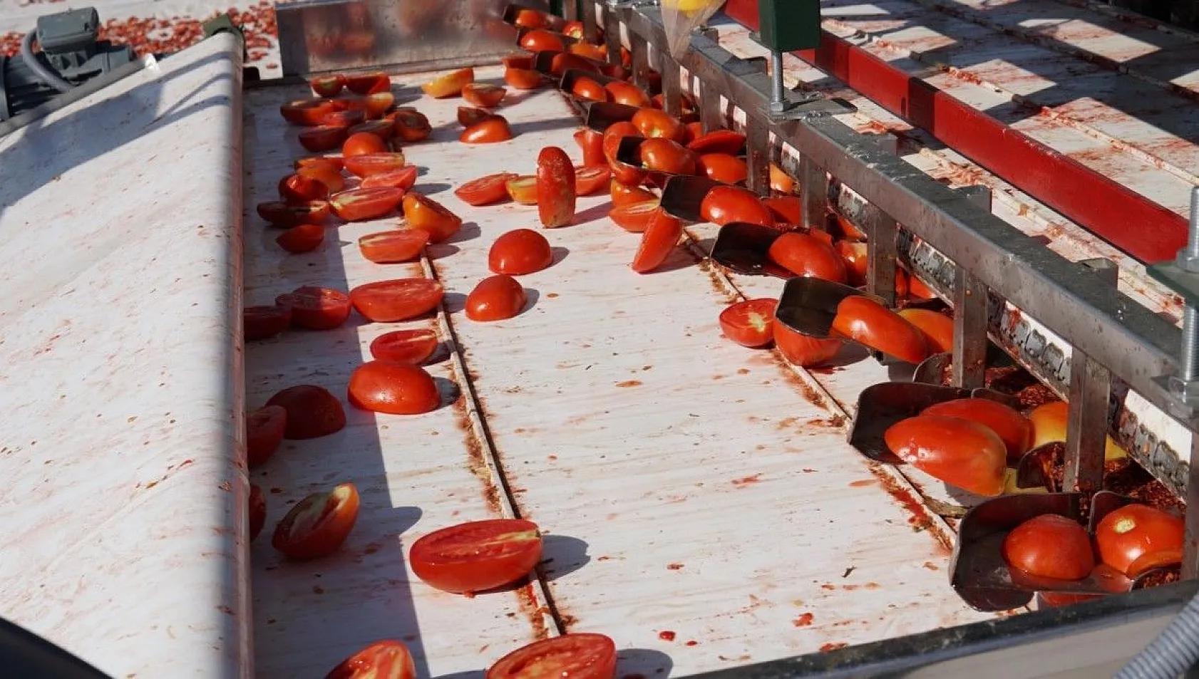 Mevsimlik işçiler kurutmalık domateslerden Türkiye haritası yaptı