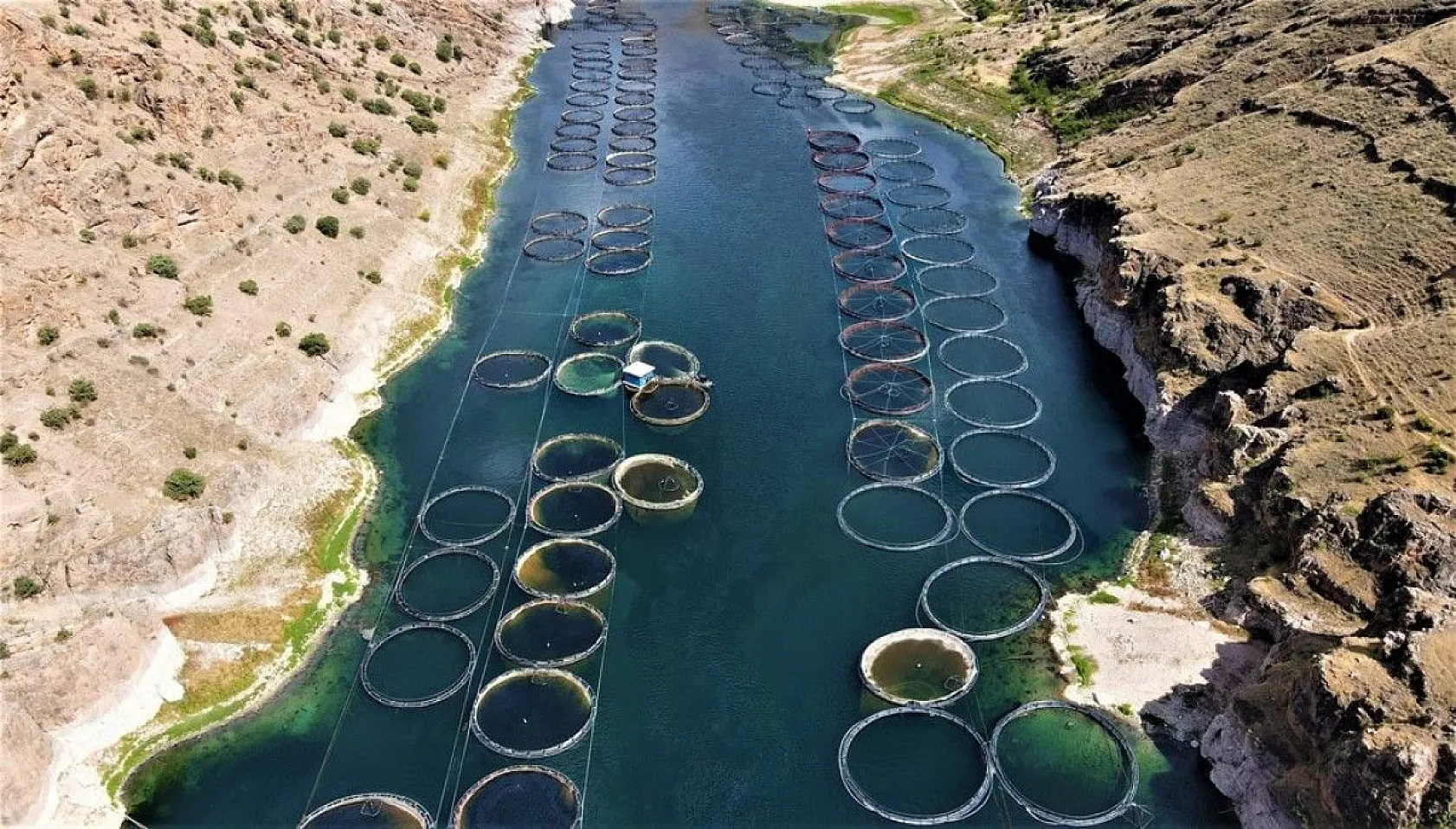 Elazığ'da üretilip birçok ülkeye ihraç ediliyor