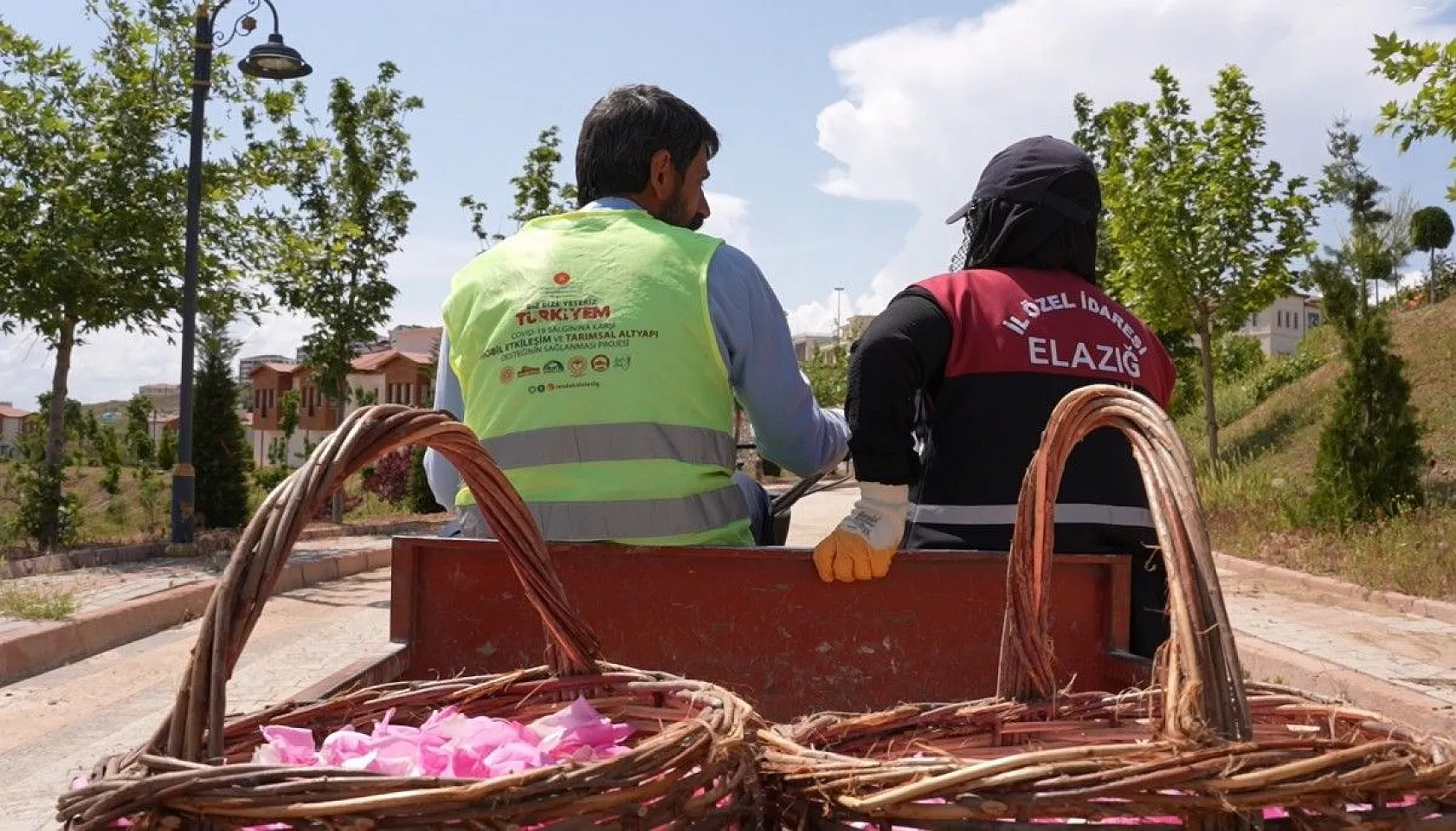 Isparta gülünden 'gül toniği'