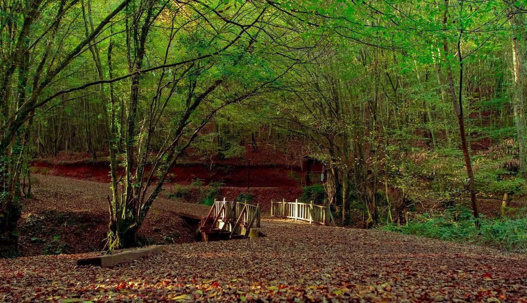 Kasımda Beykoz başka güzel