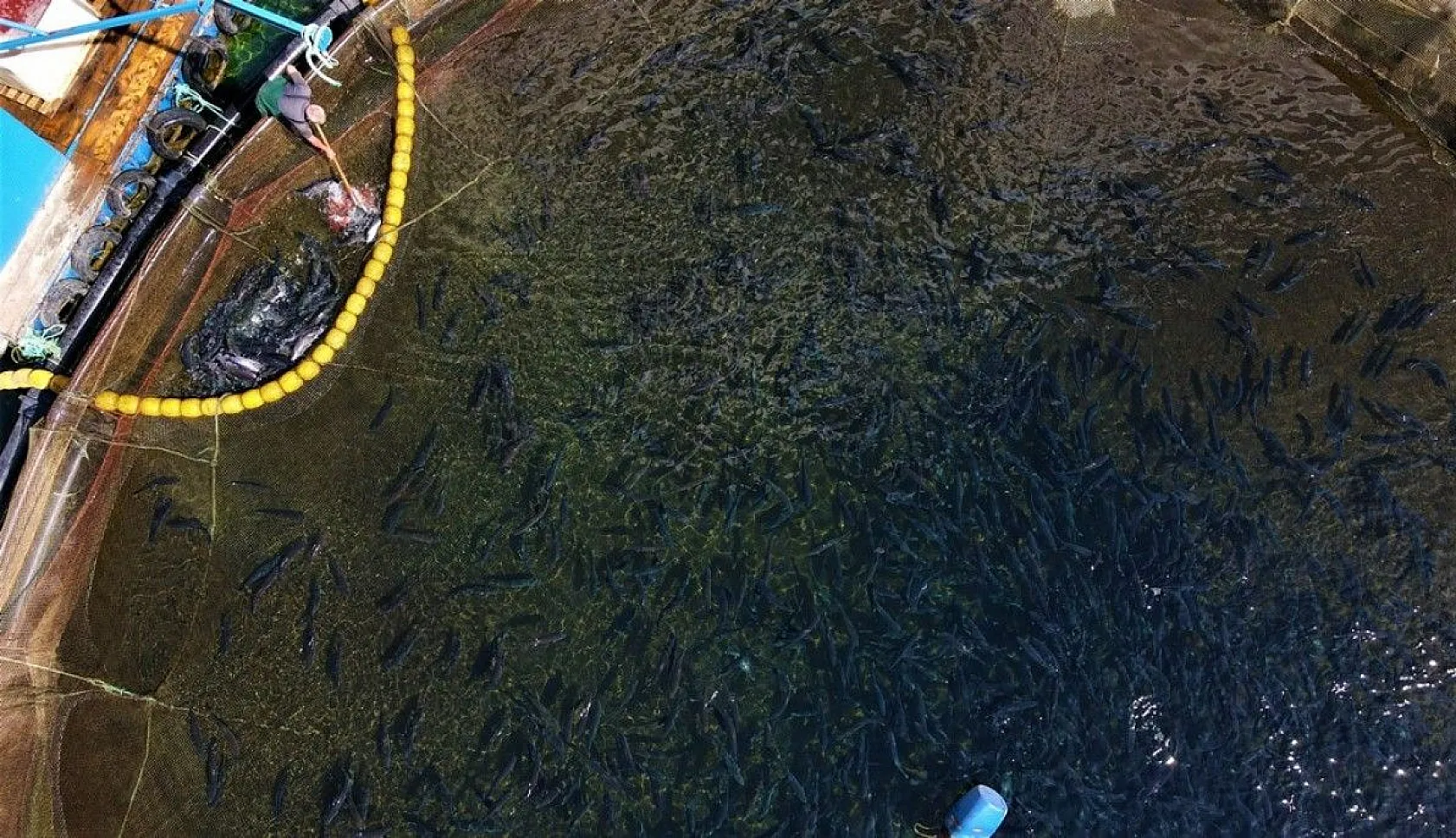 Elazığ'da üretilip birçok ülkeye ihraç ediliyor