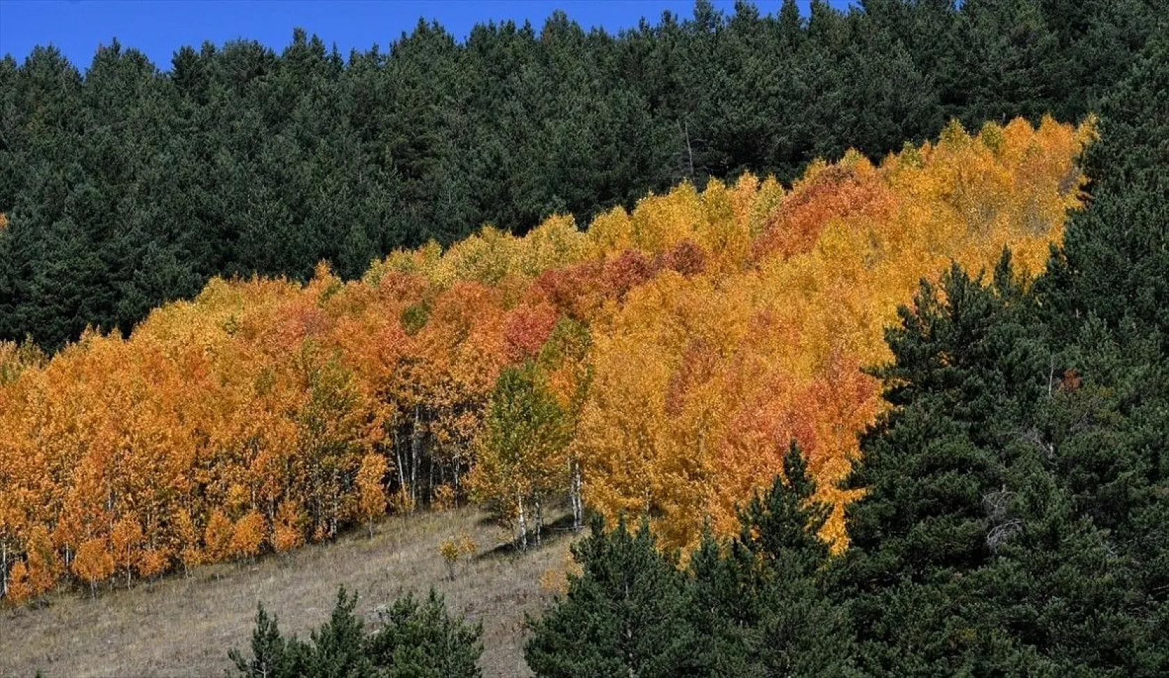 Sarıkamış'ta sonbahar güzelliği