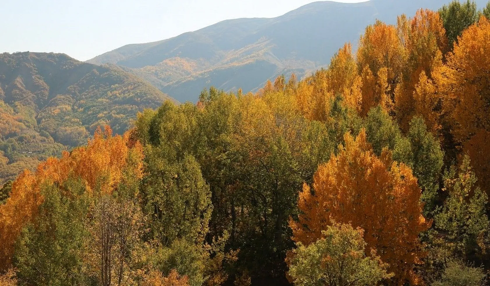 Tunceli'de sonbaharla gelen 'Renk Cümbüşü'