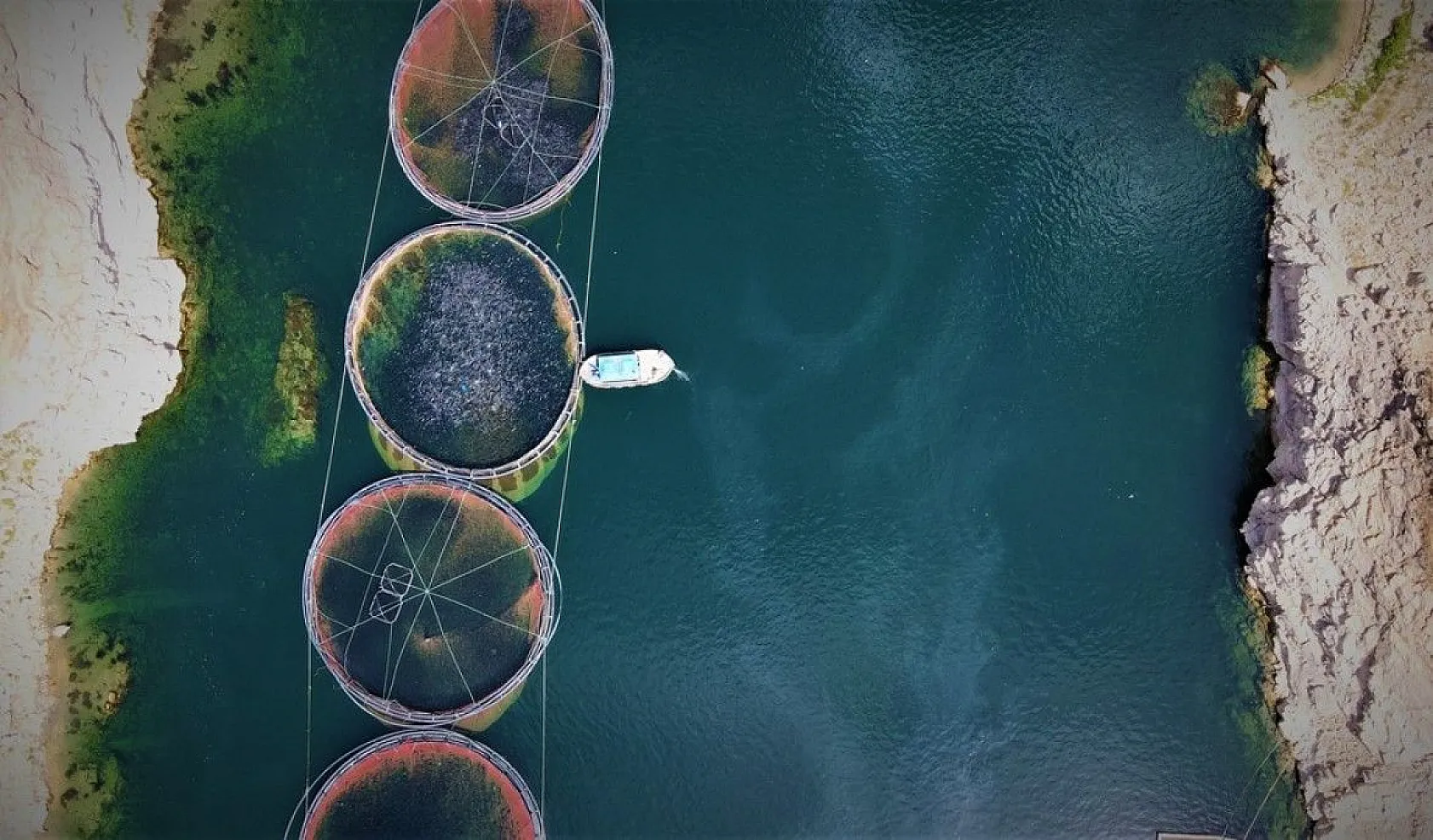 Elazığ'da üretilip birçok ülkeye ihraç ediliyor