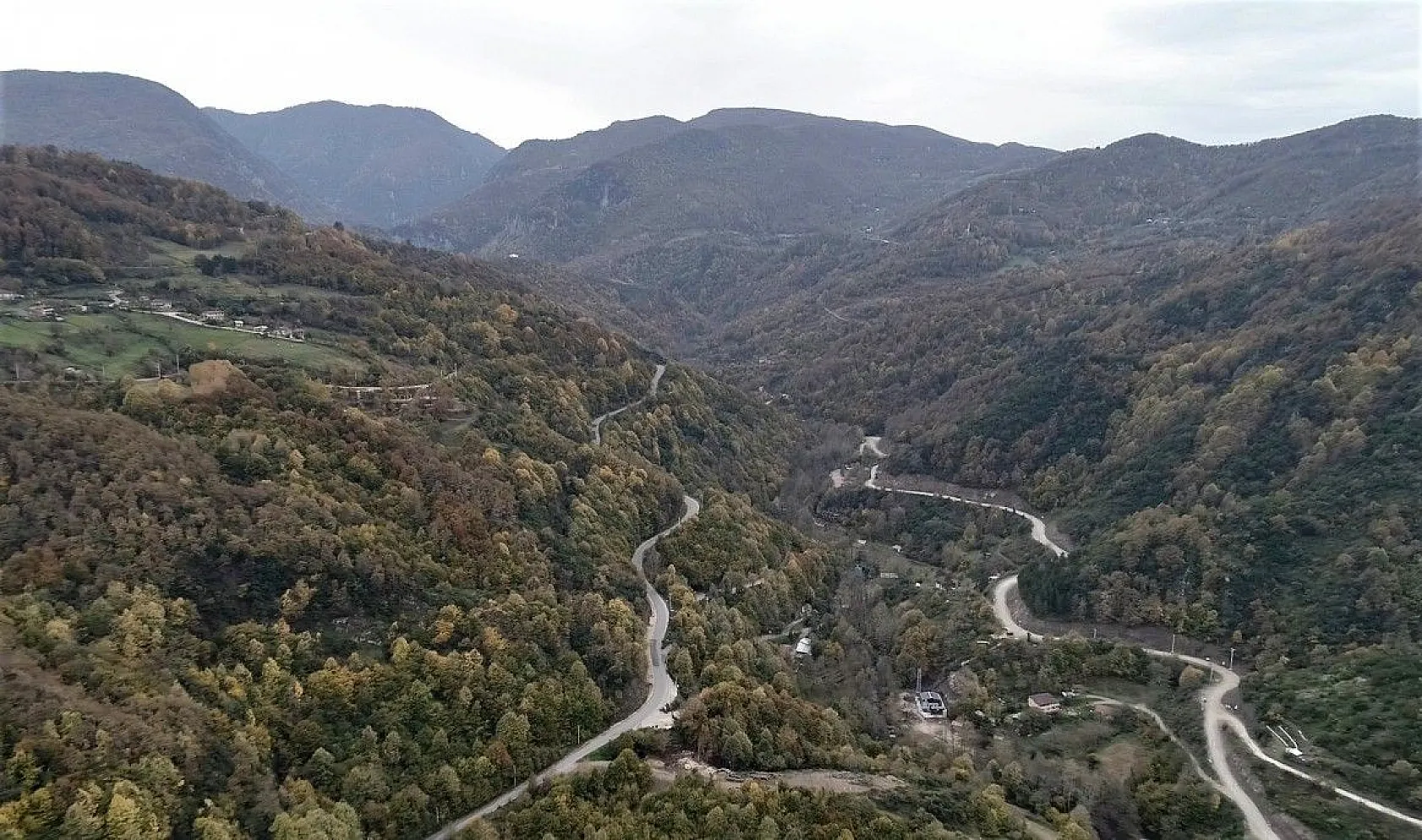 Kocaeli ormanlarında renk cümbüşü