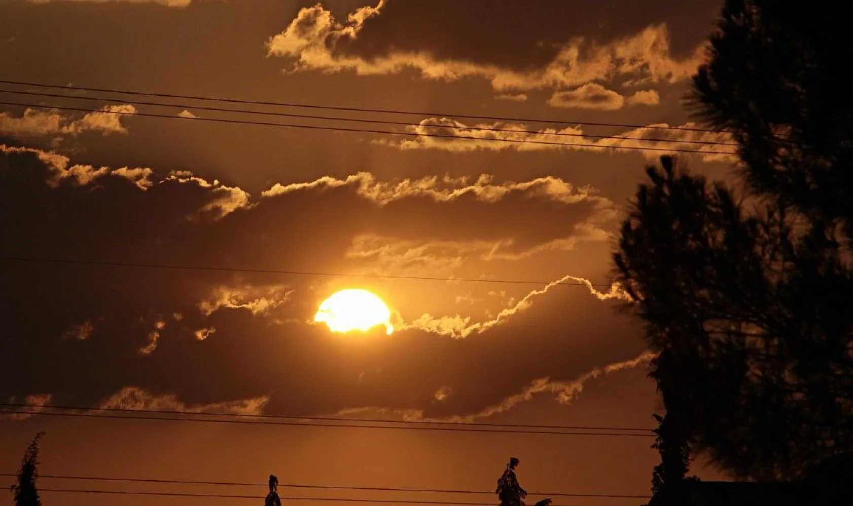 Tarlada milyonluk nöbet!