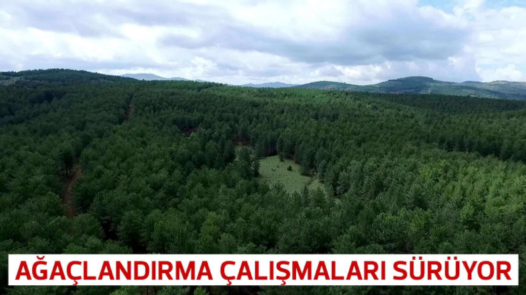 Elazığ'da ağaçlandırma çalışmaları sürüyor