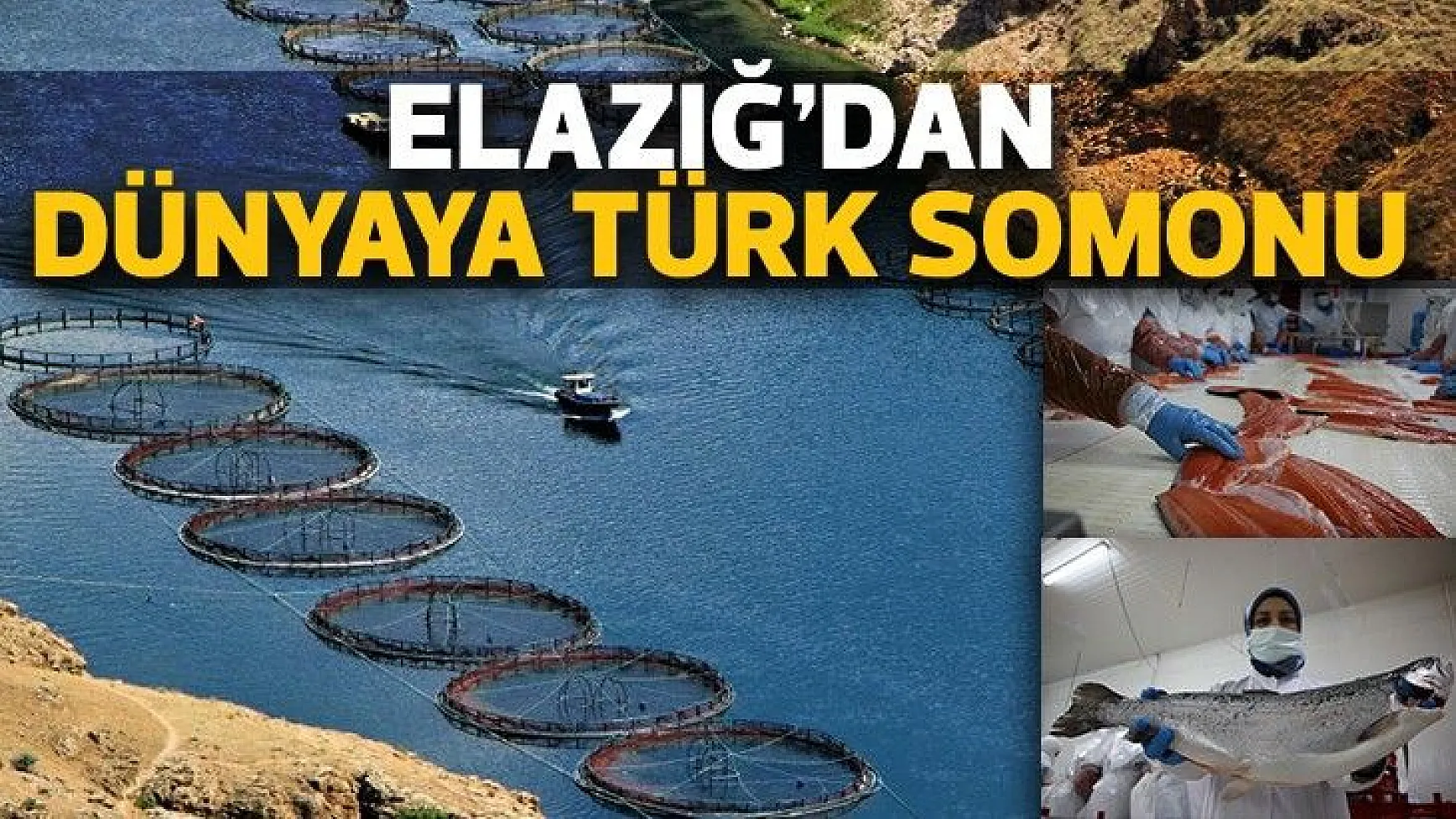 Elazığ'dan dünyaya Türk Somonu