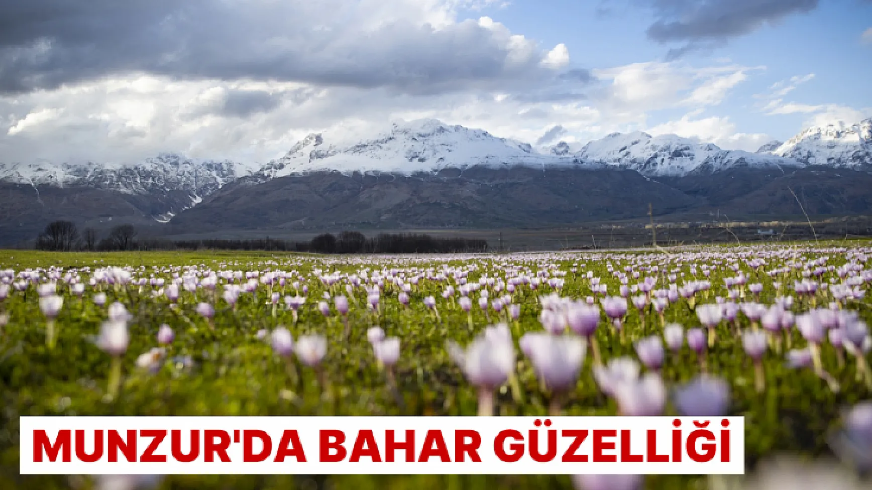 Munzur'da bahar güzelliği