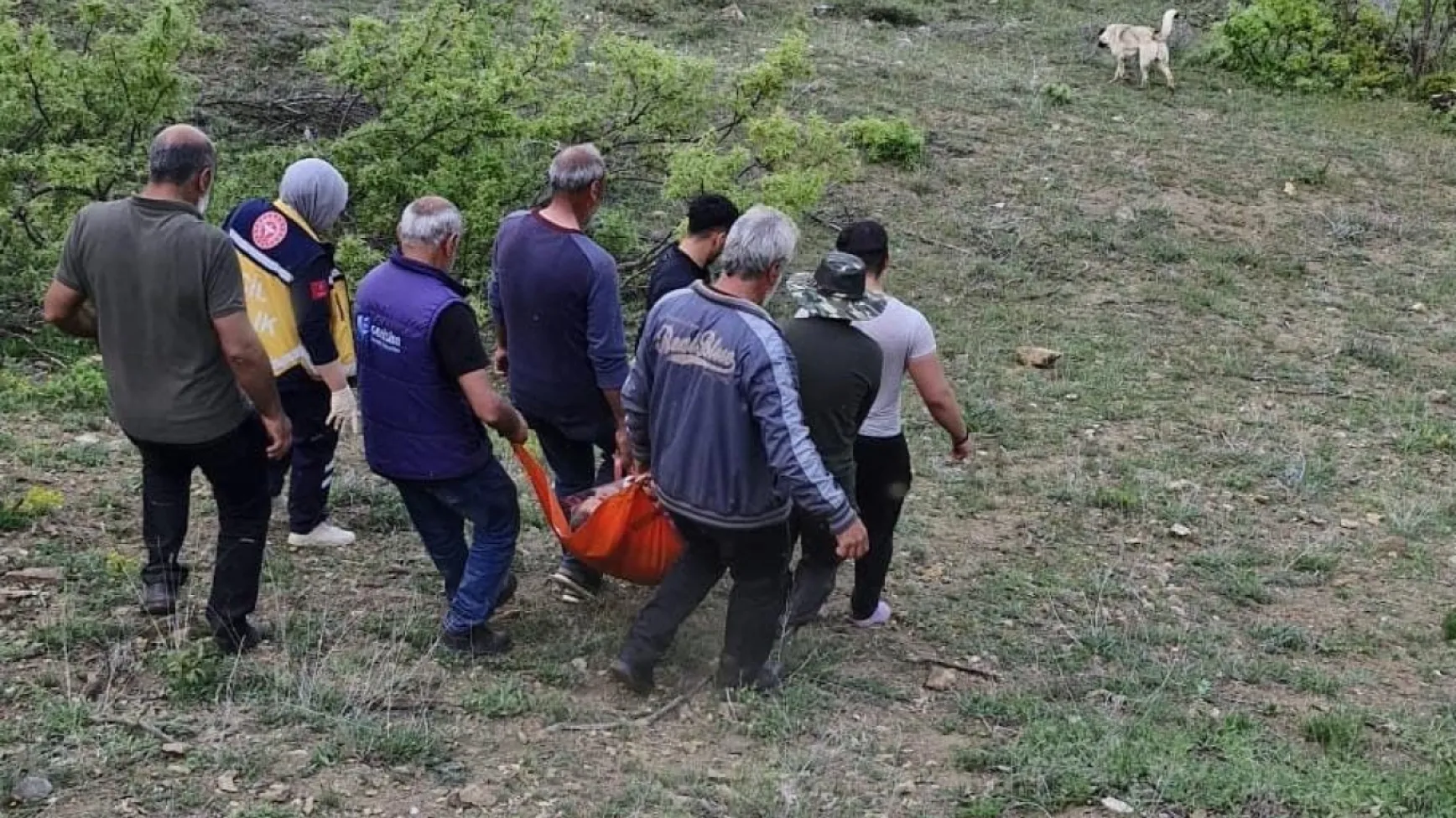 Tunceli'de ayı saldırısı