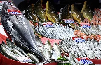 85 kiloluk orkinos tezgaha indi