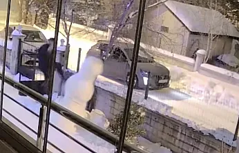 Elazığ'da ilginç görüntüler!