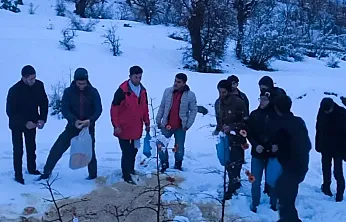 Arıcak'ta yaban hayvanları unutulmadı