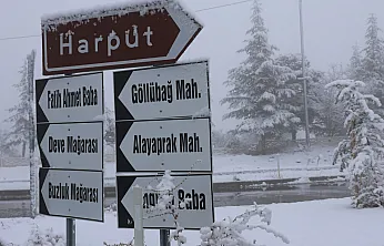 Aynı rakımda kar ve sis