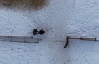 Doğaseverin köpeklerle zor anları