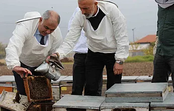 Elazığ arı kovanları incelendi