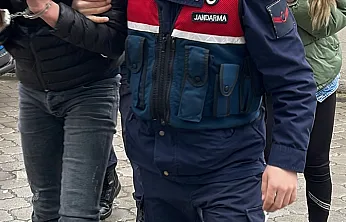 Elazığ'da 193 olayda 239 şahıs yakalandı