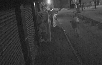 Elazığ'da branda hırsızlığı kamerada