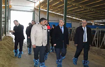 Elazığ'da hayvancılık altyapısı incelendi