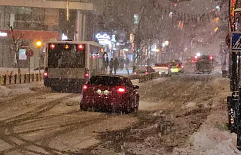 Elazığ'da kar yağışı etkisini sürdürüyor